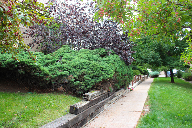 Garden Level, Northern Colorado Assessment Center, Fort Collins, CO